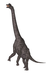 Image showing Dinosaur Brachiosaurus