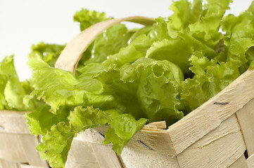 Image showing salad