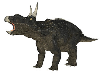 Image showing Dinosaur Diceratops