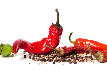 Image showing Various of hot peppers on white background