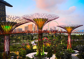 Image showing Gardens by the Bay, Singapore