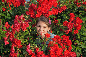 Image showing Girl and roses.