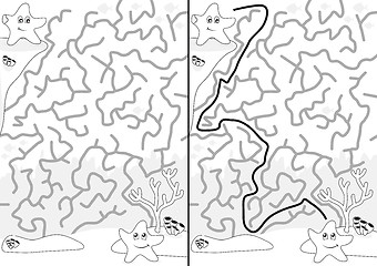 Image showing Starfish Maze