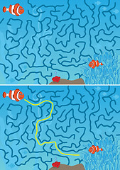 Image showing Clown fish maze