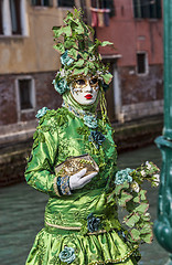 Image showing Green Disguise