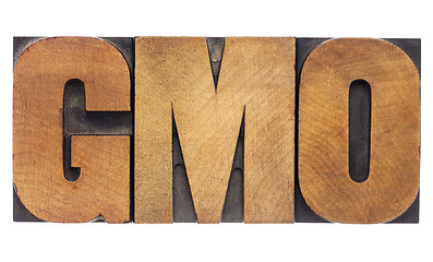 Image showing GMO acronym in wood type