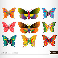Image showing Set of different multicolored butterflies