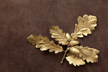 Image showing Golden Acorns