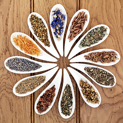 Image showing Natural Herbal Medicine