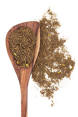 Image showing Goldenseal Root