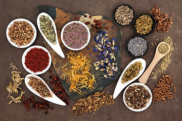 Image showing Herbal Medicine