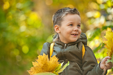 Image showing autumn baby boy