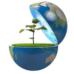 Image showing Plant inside planet