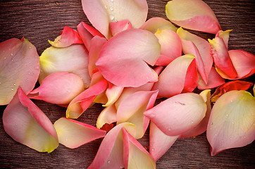 Image showing Pink Rose Petals