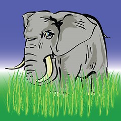 Image showing elephant