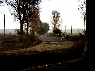 Image showing Wagon on rural road