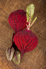 Image showing beet with leaves