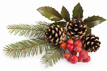 Image showing Christmas seasonal border of holly, mistletoe, sprigs with pine cones