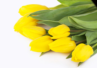 Image showing yellow tulips