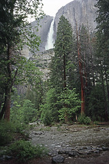 Image showing Yosemite National Park