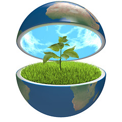 Image showing Plant inside planet