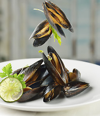 Image showing Mussels  With Garlic Sauce