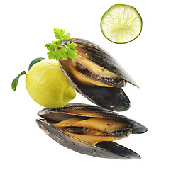 Image showing Mussels  With Garlic Sauce