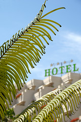 Image showing Palm and hotel