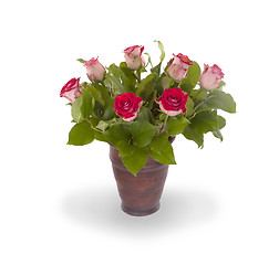 Image showing Red roses in ceramic pot