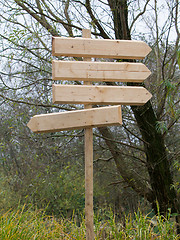 Image showing Wooden pointer in a forrest