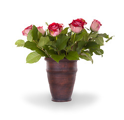 Image showing Red roses in ceramic pot