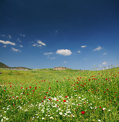 Image showing spring mountain landscape in Turkey