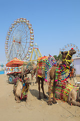 Image showing ornate camels and ferris wheels at Pushkar camel fair