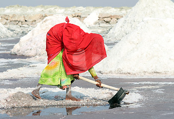 Image showing Indian woman mined salt in salt lake Sambhar