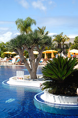 Image showing Palms and pool