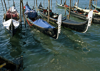 Image showing Gondolas, Venice, Italy