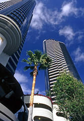 Image showing High Rise Condominiums