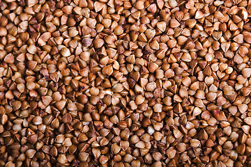 Image showing buckwheat groats. background
