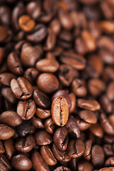 Image showing coffee beans