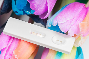 Image showing Unusual multicolored tulips and pregnancy test