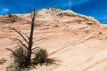 Image showing Zion National Park