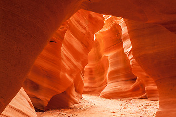 Image showing Antelope Canyon