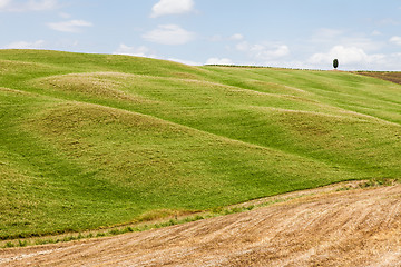 Image showing Tuscany agriculture