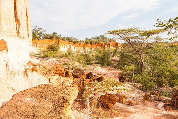 Image showing Marafa Canyon - Kenya