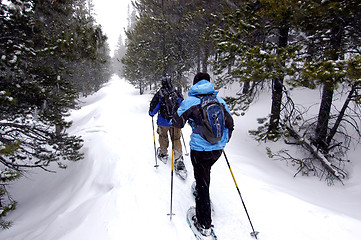 Image showing Snow Shoeing