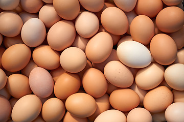 Image showing Heap of chicken eggs