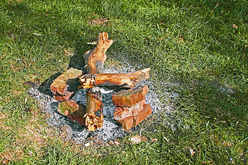 Image showing Remains of a bonfire on the green grass 