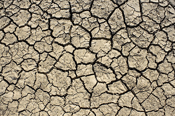 Image showing Dried soil with cracks