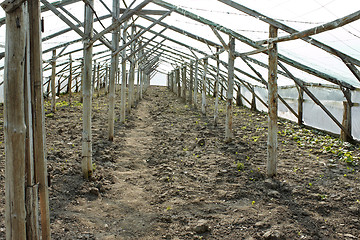 Image showing Empty wooden greenhouse before planting seedlings