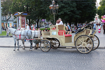 Image showing coach with two harnessed horses in Lvov